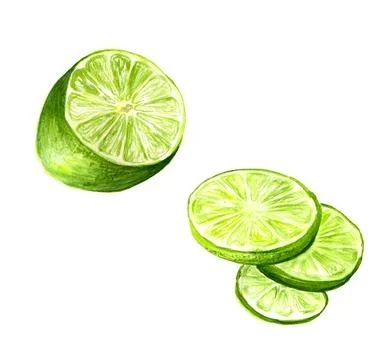 Half of lime Stock Illustration