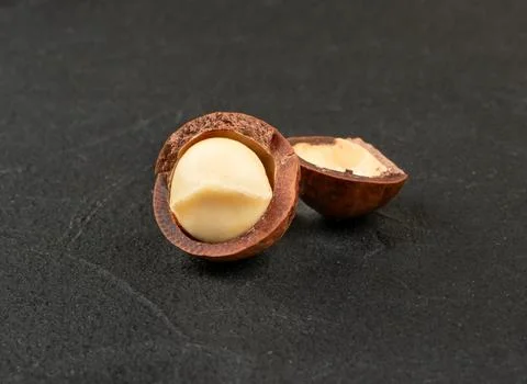 Half macadamia nut Stock Photos