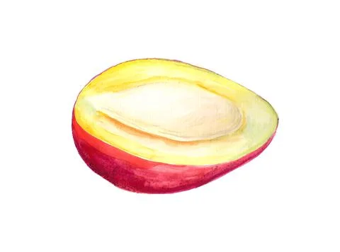 Half of mango Stock Illustration