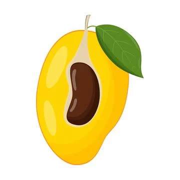 Half of mango on white background. Flat vector illustration Stock Illustration
