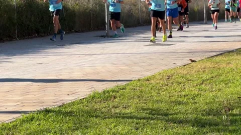 Half marathon race with runners in Sitges Stock Footage 328171159