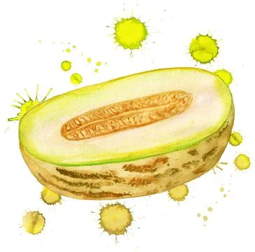 Half of melon Stock Illustration