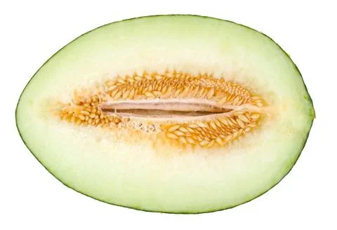 Half a melon isolated on a white background. Piel de sapo Stock Photos