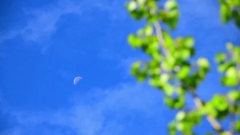 A half moon against clear blue skies with light cover Stock Footage 72284285
