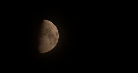 Half Moon and Bats Stock Footage 208133369