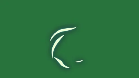 Half of the moon and white crescent on bird it close up view screen flying in Stock Footage 337029472