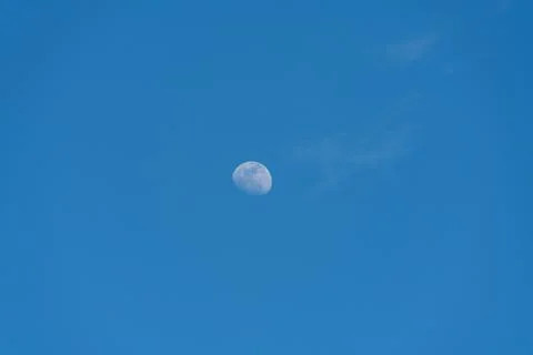 Half Moon Background / The Moon is an astronomical body that orbits planet Ea Foto stock