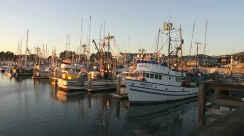 Half Moon Bay Harbor Stock-Footage 12033996