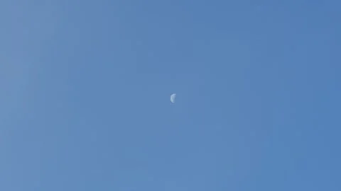 Half Moon in Daylight Video stock 335524600
