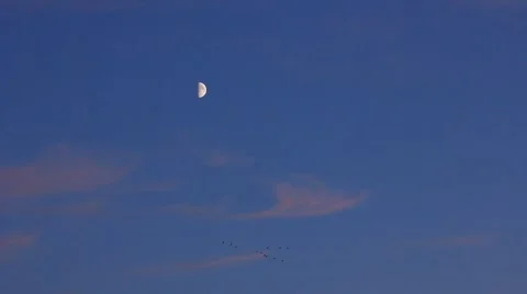 Half Moon during sunset. Stock Footage 53154775