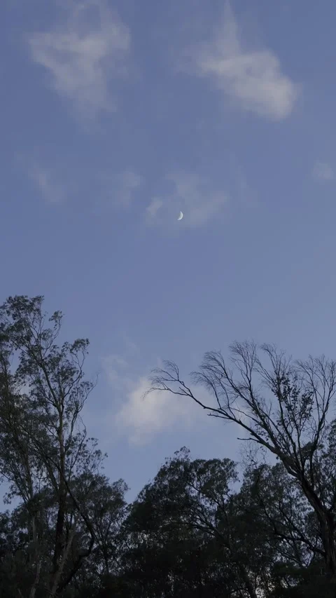 Half Moon at Evening sky Stock Footage 343769102