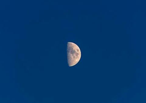 Half Moon in an Evening Sky 库存照片