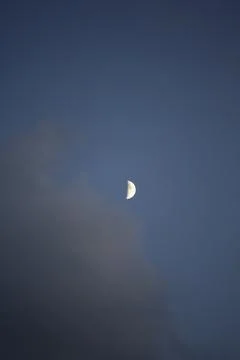 Half Moon in the Evening Sky Stock Photos