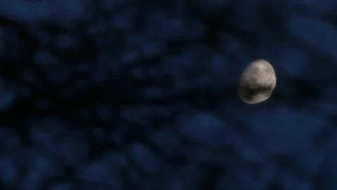 Half moon floating on lake. Stock Footage 71283975