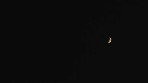 Half Moon Stock Footage 166704205