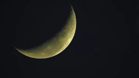 Half Moon Video stock 269606855