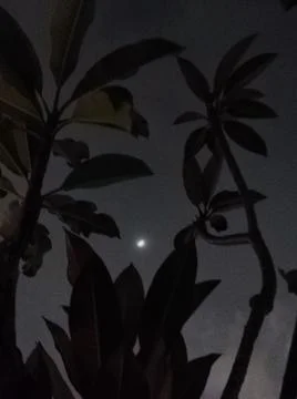 Half moon in the night sky Stock Photos