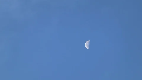 Half moon phase of the moon in daytime against blue sky Stock-Footage 116467192