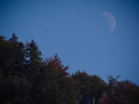 Half moon Stock Photos