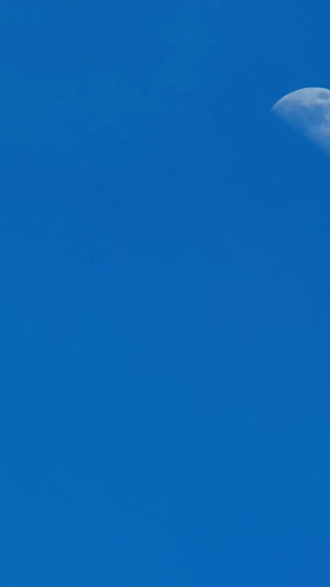 Half Moon Visible in Clear Blue Daytime Sky Stock Footage 345972485