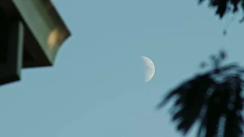 Half Moon Visible in Daytime Framed by Leaves and a House Stock Footage 346103823