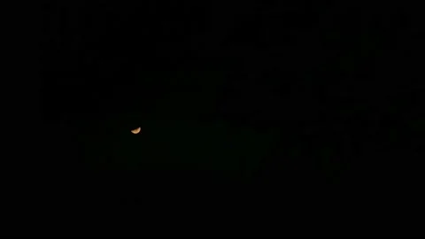 Half moon is visible through buildings in dark during the night Stock Footage 238770741