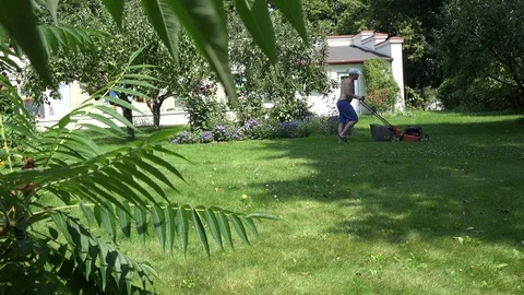 Nude Of Trees Houses Stock Video Footage | Royalty Free Nude Of Trees