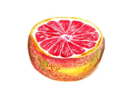 Half og grapefruit Stock Illustration