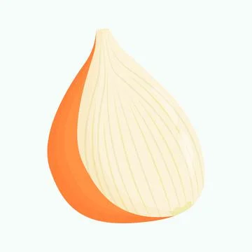 Half of onion isolated on background. Flat vector illustration Stock Illustration