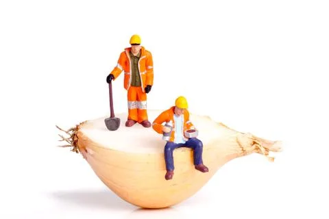 Half Onion Stock Photos