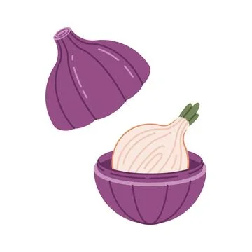Half onions in special plastic container, onion case. Concept of useful thing Stock Illustration