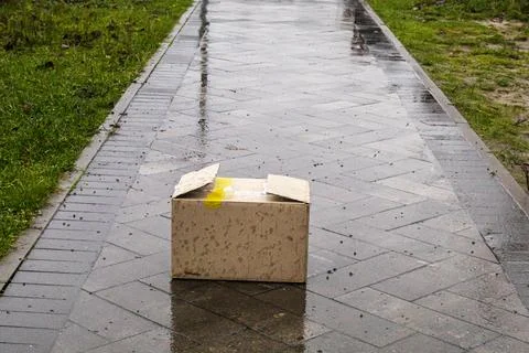 Half-open cardboard parcel in a box in the rain. Timely delivery in any wea.. Stock Photos