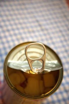 Half-open fruit salad can with copy space Fotos Stock