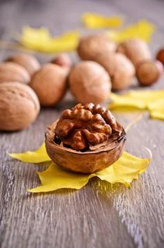 Half open walnut, lying on a yellow maple leaf Photos