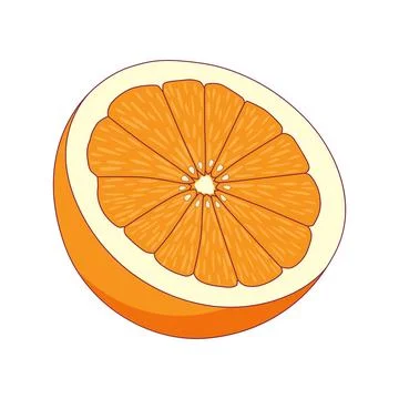 Half Orange Icon Vector Illustration Stock Illustration