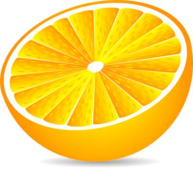 Half orange Stock Illustration