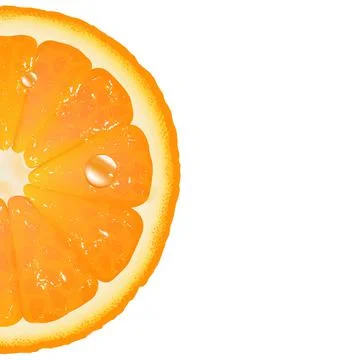 Half Of Orange Stock Illustration