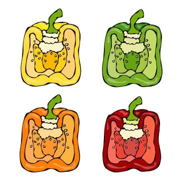 Half of Orange, Yellow, Green, Red Paprika, Bell Pepper or Sweet Pepper. Hand Stock Illustration