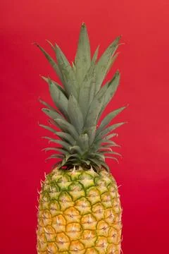 Half part of a pineapple on a red background Stock Photos