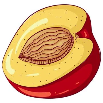 Half peach fruit Stock Illustration