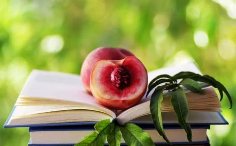 Half of peach in open book Foto stock