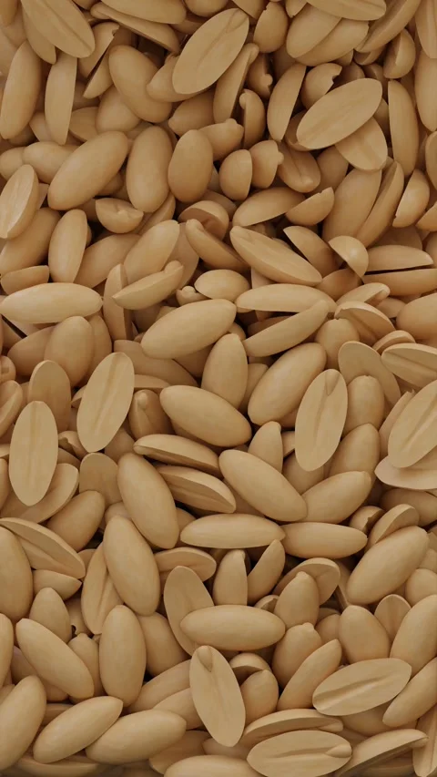 Half Peanut Groundnut Portrait Vertical Video Animation Curtain Alpha Channel Stock Footage 302121568