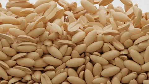 Half Peanut Groundnut Seeds Animation Curtain Transition Alpha Channel Stock Footage 302121985