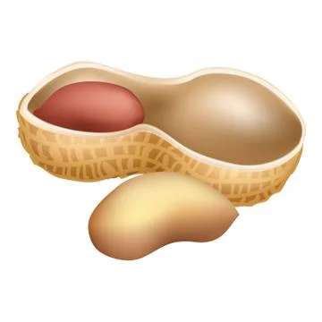 Half peanut icon, cartoon style Stock Illustration