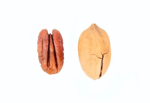 Half pecan and nut in shell isolated on white background Foto stock