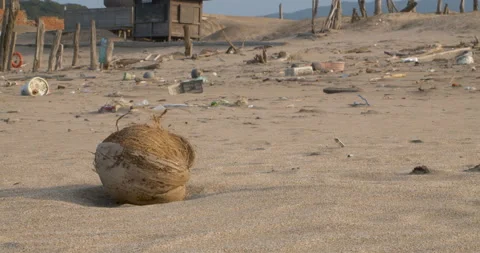 A half-peeled coconut sitting on a sandy beach with garbage lying around the env 動画素材 135959281