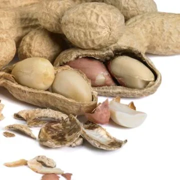 Half peeled peanut Stock Photos