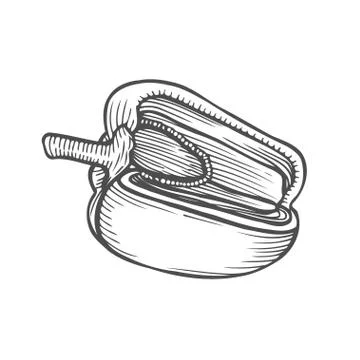 Half pepper hand drawn vector Illustrazione stock