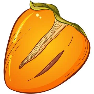 Half persimmon color Stock Illustration