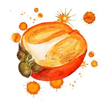 Half of persimmon Stock Illustration